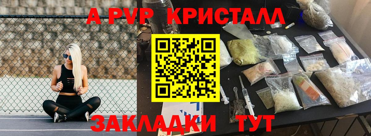 Alfa_PVP СК КРИС Рыбинск
